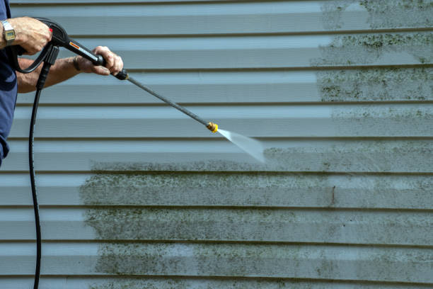 Best Solar Panel Cleaning  in Mexico Beach, FL